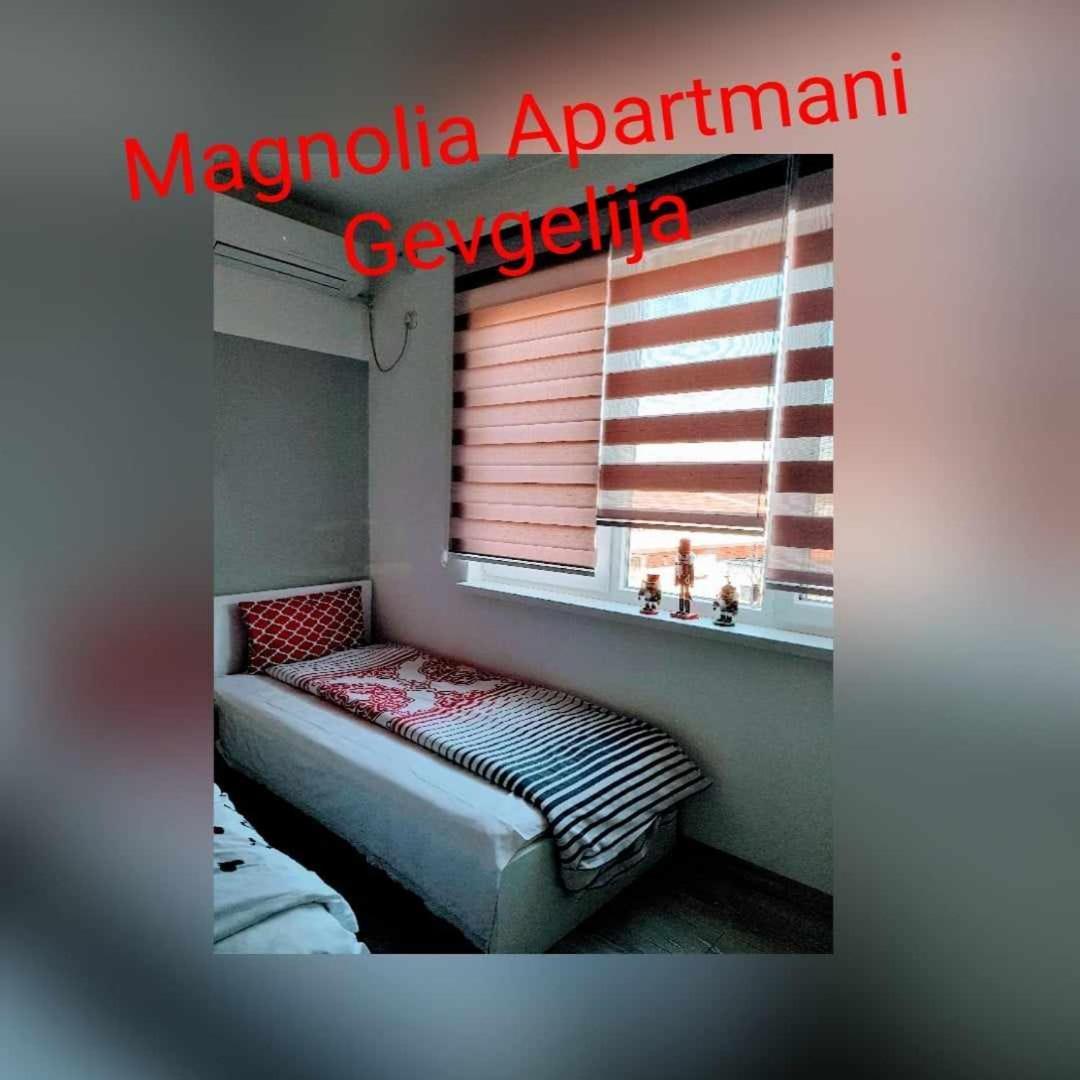 Magnolia Gevgelija