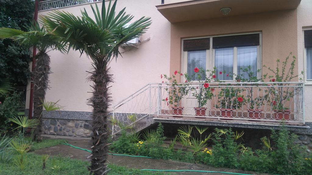 Magnolia Gevgelija